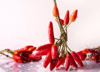 Chile pasilla