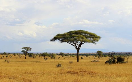 África