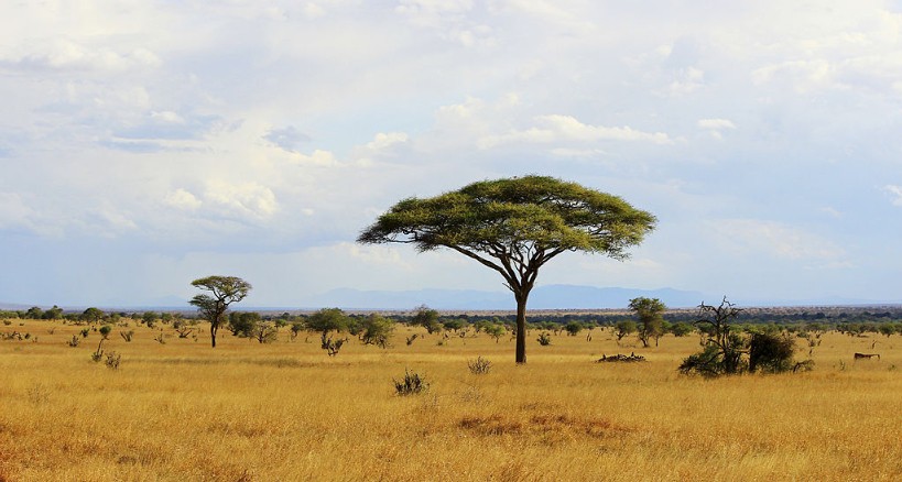 África