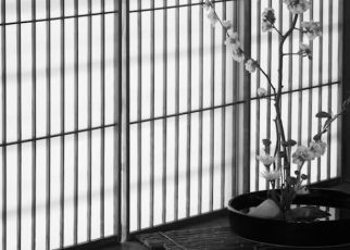 Paneles japoneses