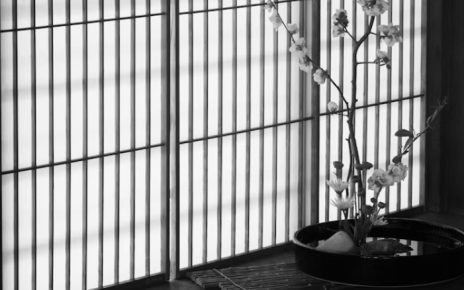 Paneles japoneses
